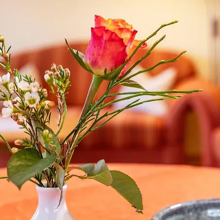 Apartamento Behler Kressbronn am Bodensee